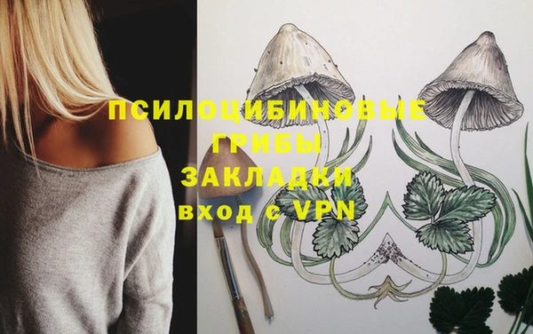 прущая мука Зеленокумск