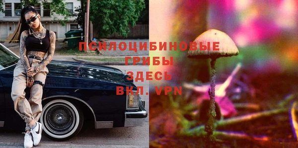 2c-b Зерноград
