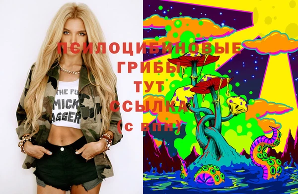 прущая мука Зеленокумск