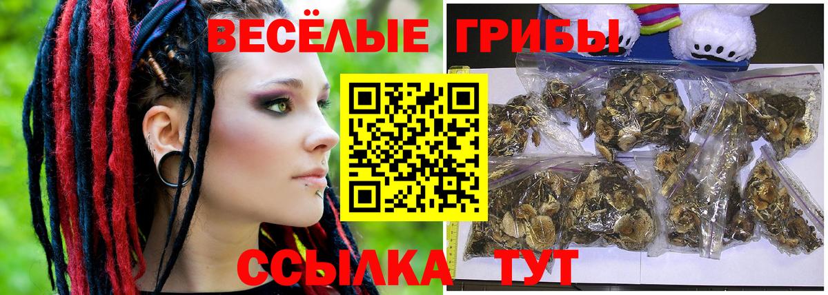 Галлюциногенные грибы Magic Shrooms Москва