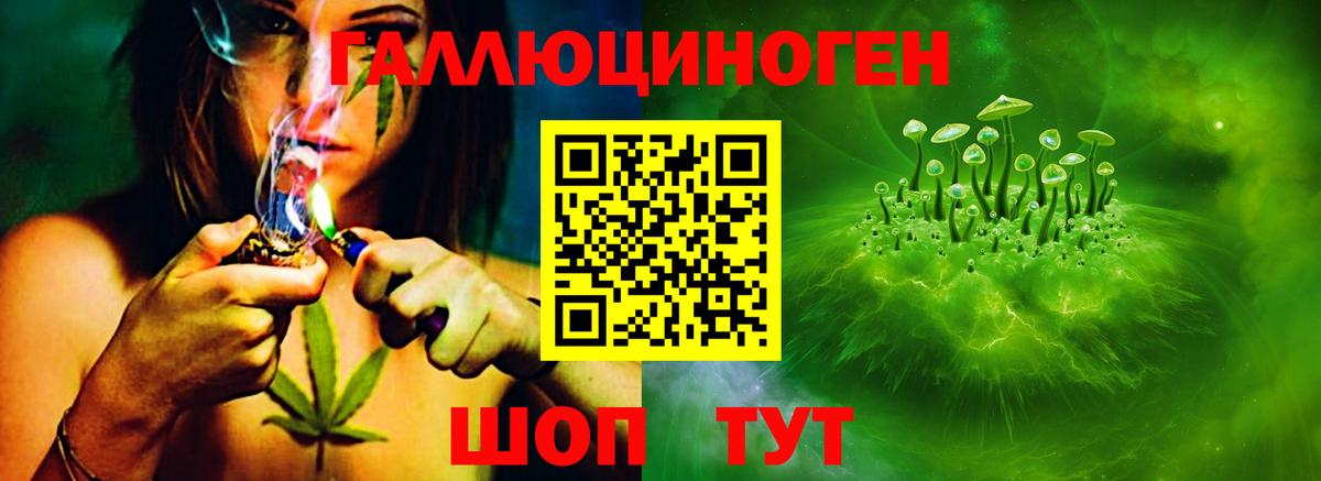 Москва  Псилоцибиновые грибы GOLDEN TEACHER  Вход с VPN 